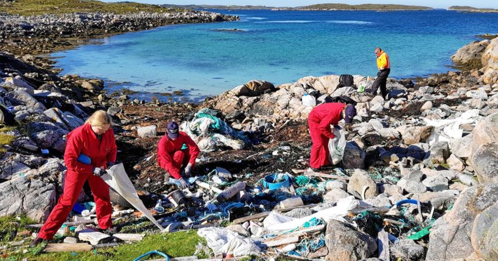 Mausund Feltstasjon rydder i fjæra langs kysten